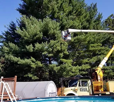 Lasky Tree Services - Southbury, CT