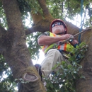 American Tree Medics - Tree Service