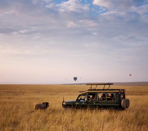 Chirn Park Travel - Labrador, QLD