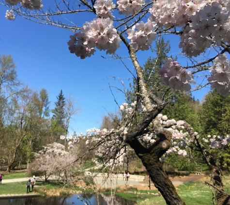 Washington Park Arboretum - Seattle, WA