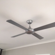 Gallery Image Number 5