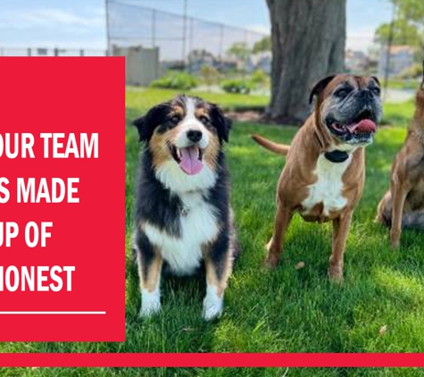 Peninsula Boarding Kennels - Moolap, VIC. Our team is made up of honest.