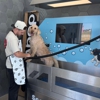 Scooter's Car and Dog Wash gallery