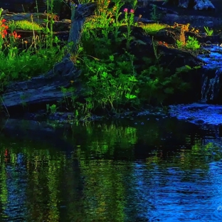 Ponds by Biologists - West Linn, OR