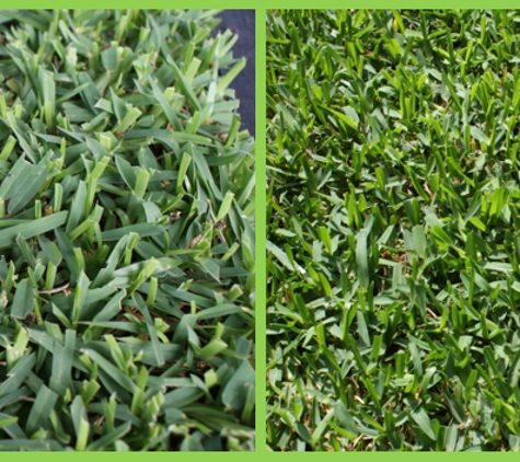 Walkers Turf Supplies - Silkstone, QLD