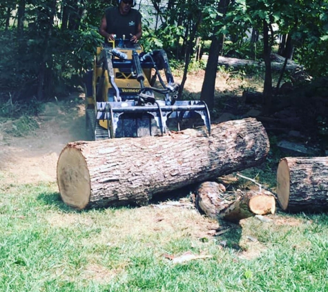 JD Tree Service - Culpeper, VA