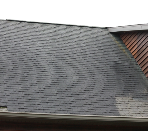 Roof Cleaning and More - Port Huron, MI. Don came out to give us a quote and did the lower corner to show us the difference!