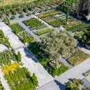 Moon Valley Nurseries - Nurseries-Plants & Trees