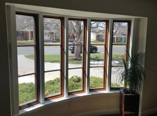 Gallery Image Number 5