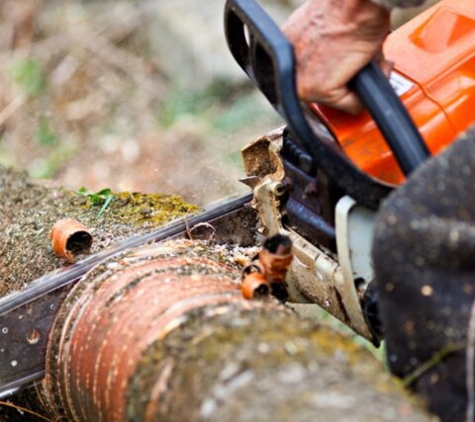 Salas Tree Service - Tucker, GA