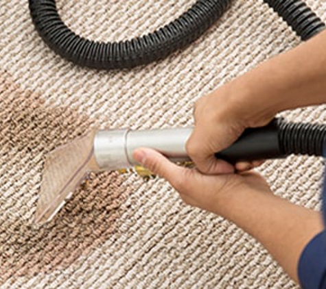 Best Carpet Cleaning service - Texas City, TX