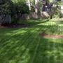 Clean Air Lawn Care Corvallis