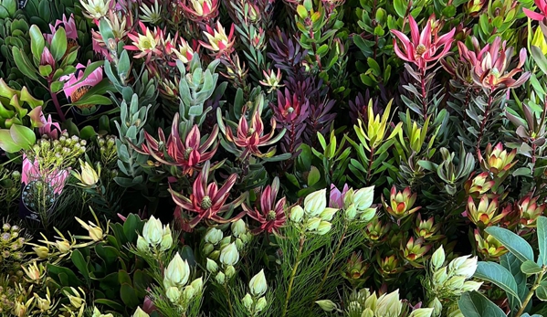 Green Leaf Gardens Nursery - Temora, NSW