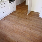 Gallery Image Number 2