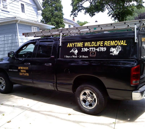 Anytime Wildlife Removal - Akron, OH