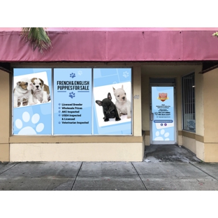 Beverly Hills Puppies, Inc. - Miami, FL