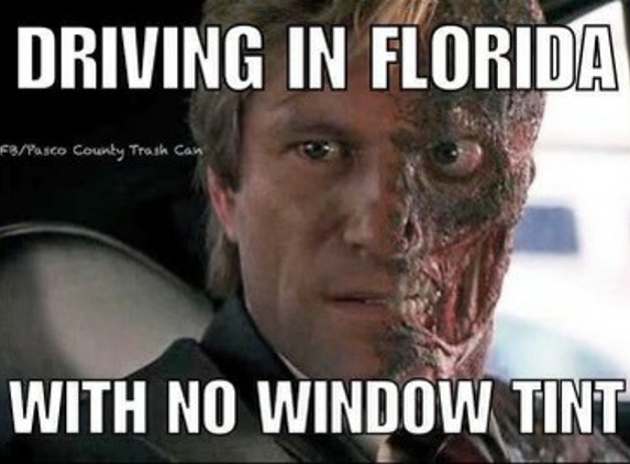 World Class Window Tinting - Ellenton, FL