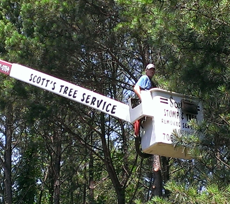 Scott's Stump and Tree Removal - Lagrange, GA