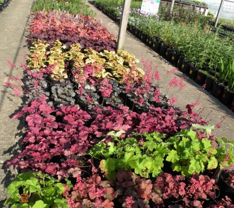 Osterbrock Greenhouse & Florist - Cincinnati, OH