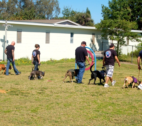 Brevard Dog Training - Melbourne, FL