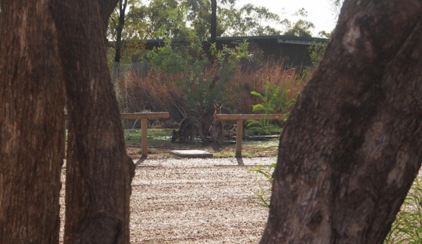 Lightning Ridge Outback Resort & Caravan Park - Lightning Ridge, NSW