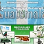 Quetzal Taqueria and Restaurant