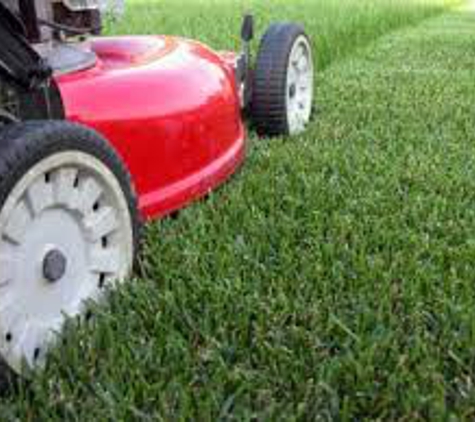 Black & White Home Services - Upper Caboolture, QLD