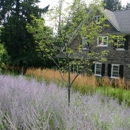 Donald Pell Gardens - Landscape Designers & Consultants