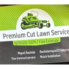 Premium Cut Lawn Service