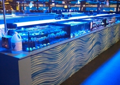 Tanks A Lot Aquariums 6680 Lantana Rd Lake Worth Fl Yp Com