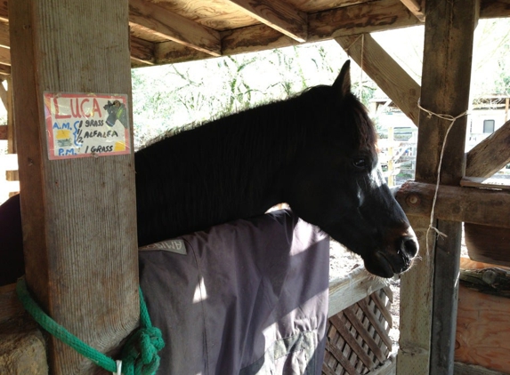 Dickson Ranch - Woodacre, CA