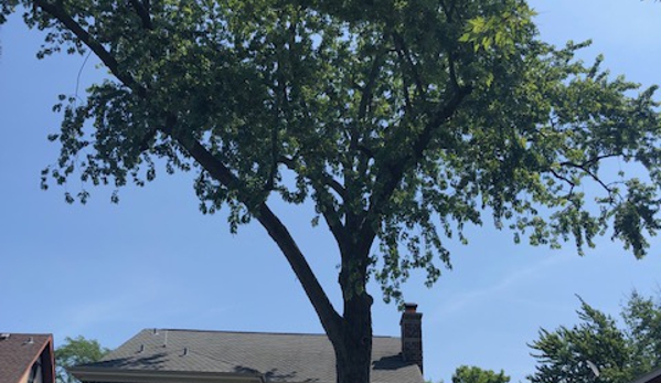 RGP Tree Service - Chicago, IL