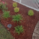 S & T Tree Service and Landscaping - Landscaping & Lawn Services