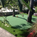 Lazy Gecko Greens of Tampa Bay Inc - Landscaping & Lawn Services