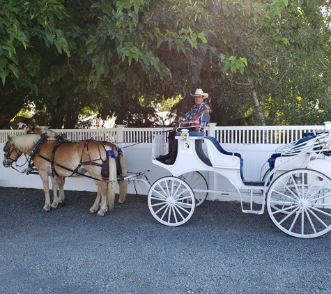 Fancy Ferriage by Horse & Carriage - Oakley, CA