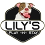 Lily's Play-N-Stay
