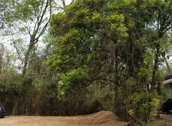 Elite Lawn Maintenance - Albany, GA. Excess gravel stockpiled on the side of the driveway turnaround area.