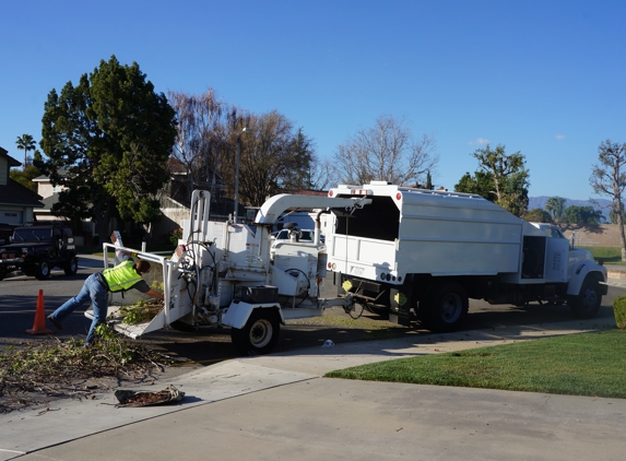 G&G Landscape and Tree Service - Chino, CA