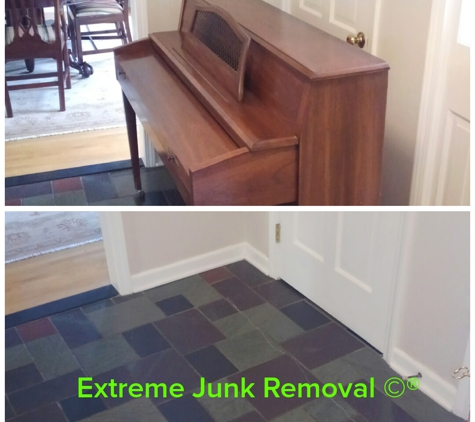 Extreme Junk Removal - Palm coast, FL