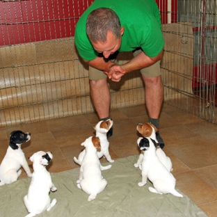 Pawsitive Training Center - Anderson, CA