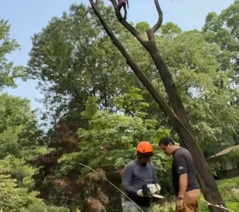 ABB Tree Services - Coatesville, PA