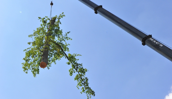 Eager Beavers Tree Service - Harvest, AL