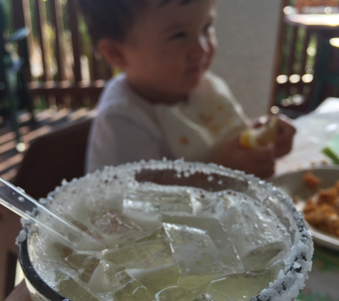 Oyster Shucker - St Pete Beach, FL