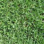 Gallery Image Number 7