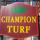 Champion Turf Parts - Snow Removal Equipment