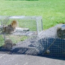 Ellis Wildlife Pest Control - Fencing Instruction