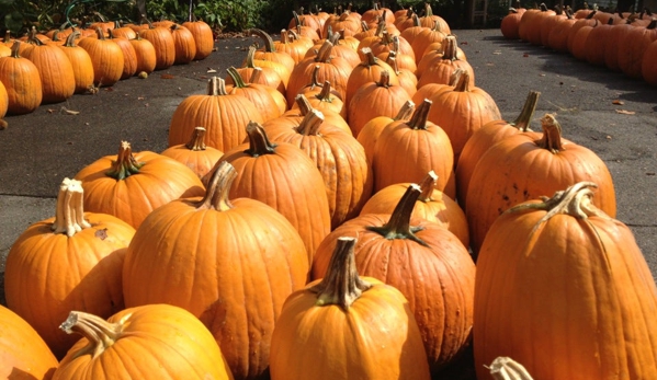 Dowse Orchards - Sherborn, MA