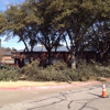 Southwest Tree Service gallery