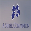 aSoberCompanion.com gallery