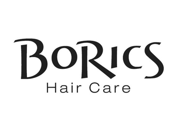 BoRics Hair Care - Kalamazoo, MI